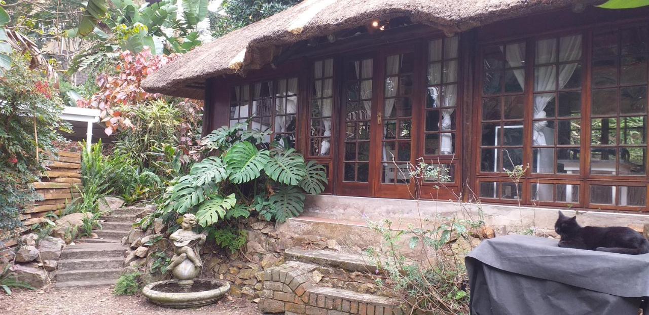Bed and Breakfast Thrush Nest Durban Pinetown Esterno foto