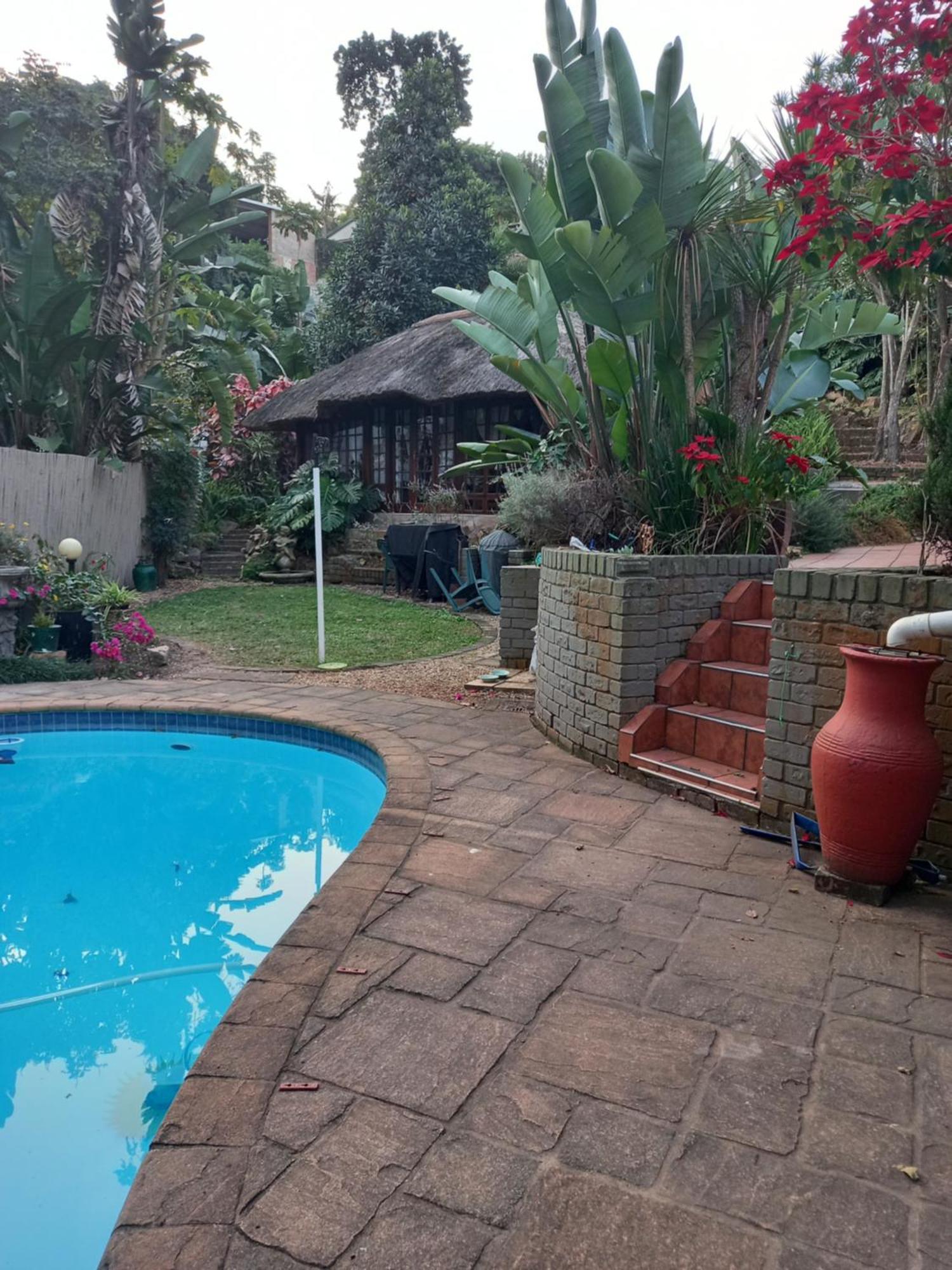 Bed and Breakfast Thrush Nest Durban Pinetown Esterno foto
