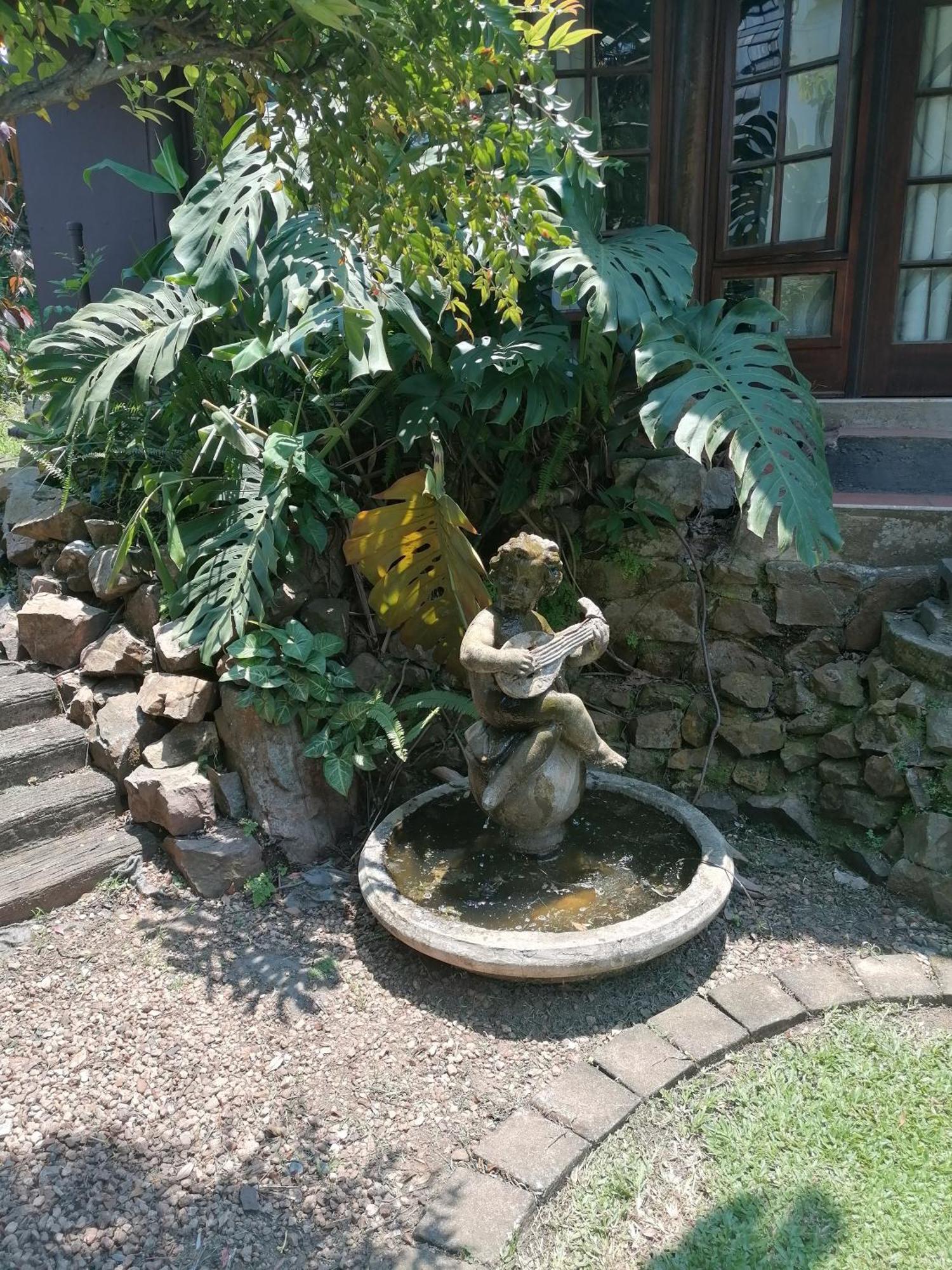 Bed and Breakfast Thrush Nest Durban Pinetown Esterno foto